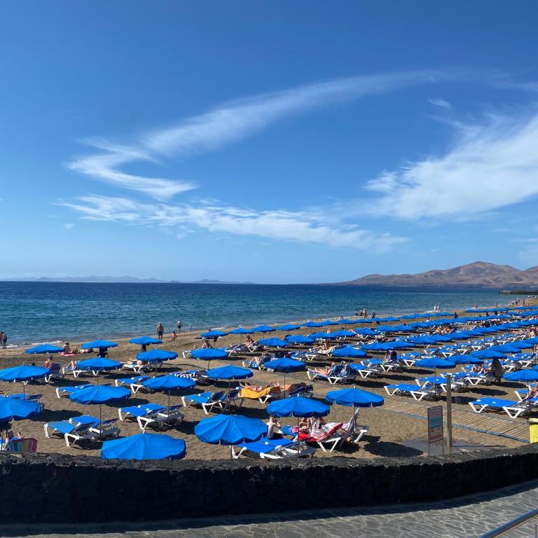 Apartamento Seaview - Apartment - 27