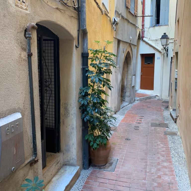 COSY MATTONI - Appartement 1 Chambre - 62