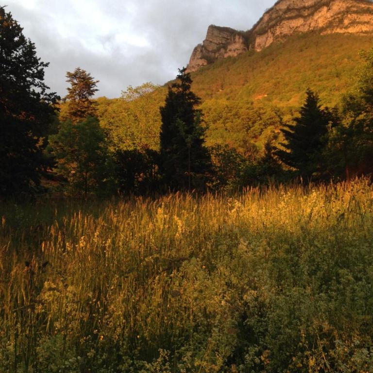 Lovely family home in Chartreuse mountains - Villa - 8