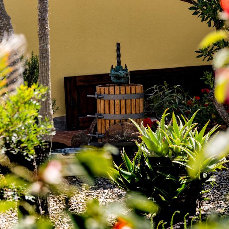 Villa Saige , piscina con idromassaggio - Villa - 55
