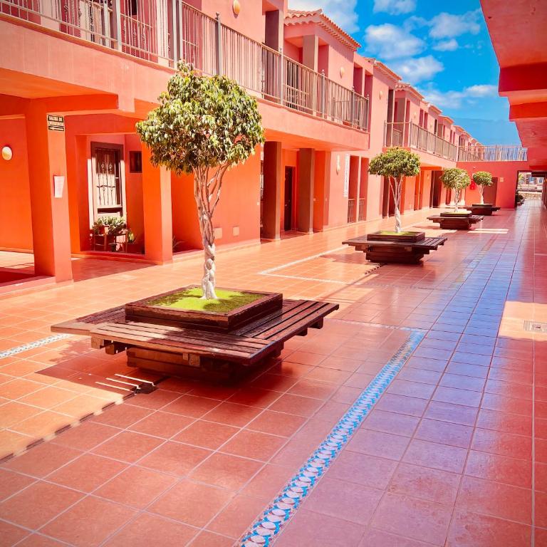Oasis of tranquillity Apartment Tenerife - Apartamento de 2 dormitorios - 37