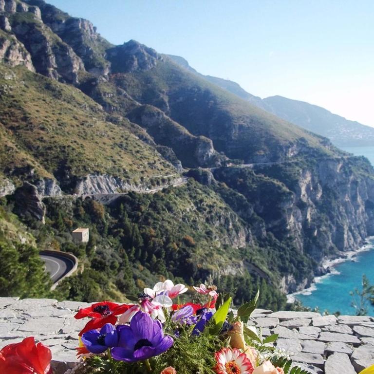 AMORE RENTALS - Villa Vanessa - Casa Vacanze - 7