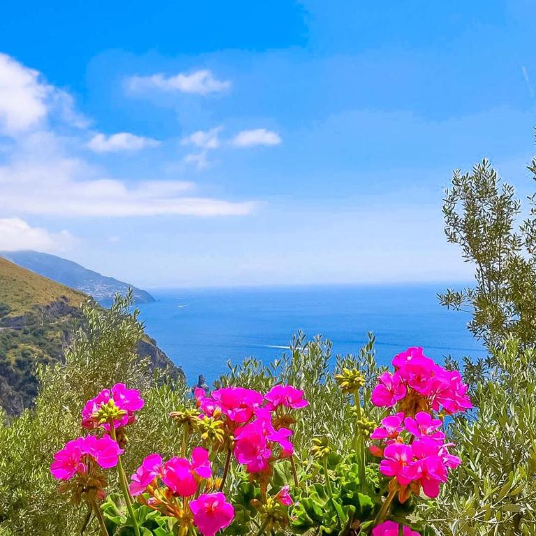 AMORE RENTALS - Villa Vanessa - Casa Vacanze - 12