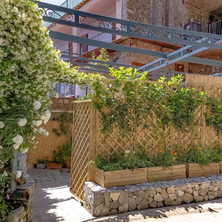 AMORE RENTALS - Villa Vanessa - Casa Vacanze - 10
