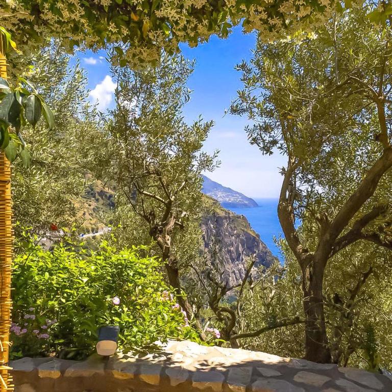 AMORE RENTALS - Villa Vanessa - Casa Vacanze - 31