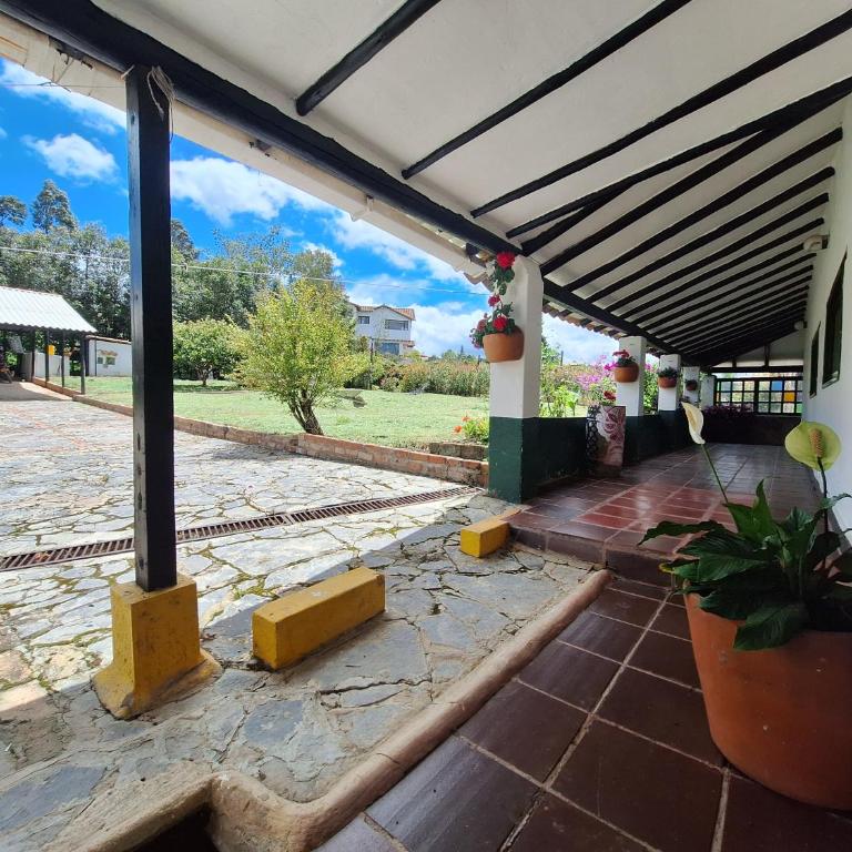Finca el belvedere - Villa - 5