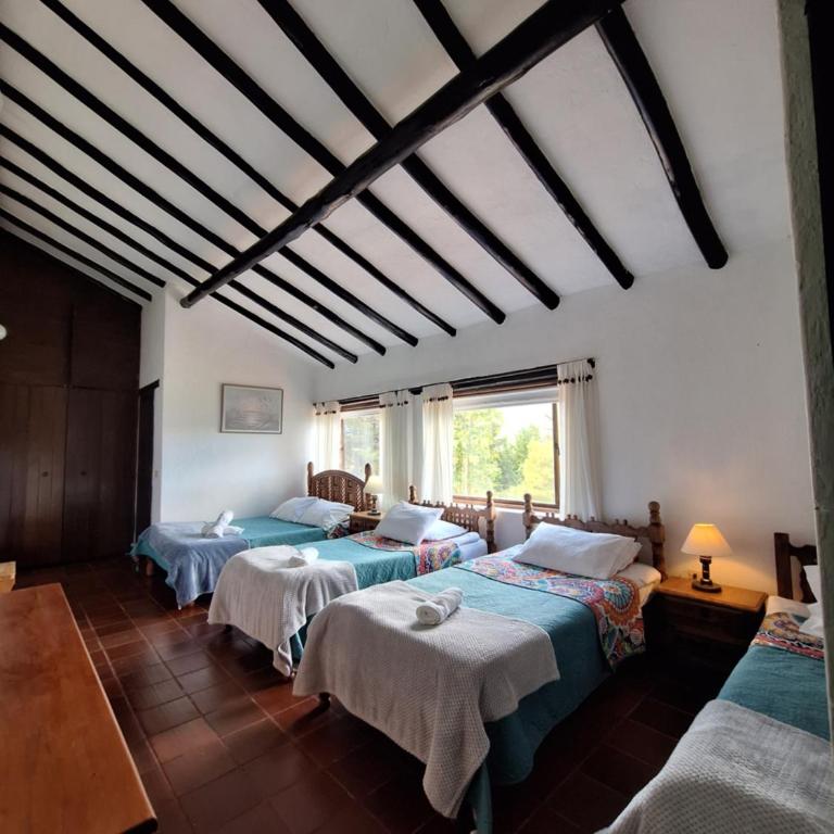 Finca el belvedere - Villa - 6