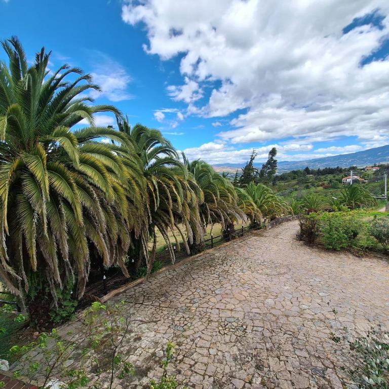 Finca el belvedere - Villa - 15