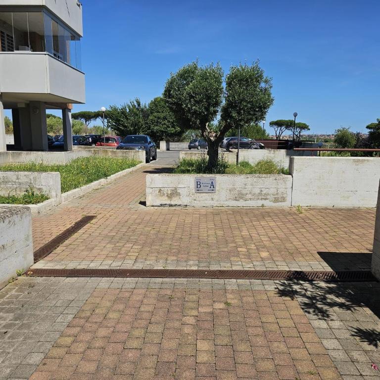 Residenza Sabina 4 - Studio-Apartment mit 1 Doppelbett - 11
