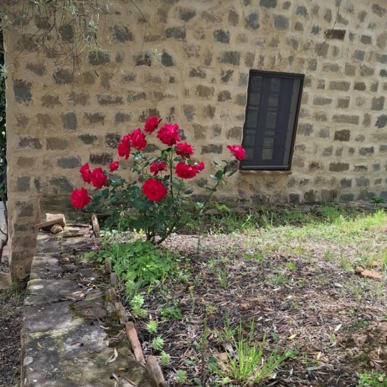 Agriturismo Villa Paradisino MUSICO - Camera Matrimoniale con Bagno Privato - 5