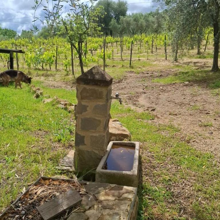 Agriturismo Villa Paradisino MUSICO - Camera Matrimoniale con Bagno Privato - 4