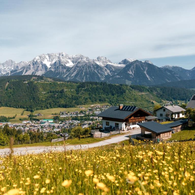 Pension Spreitzhof & Appartement Royer - Doppelzimmer ohne Balkon - 4
