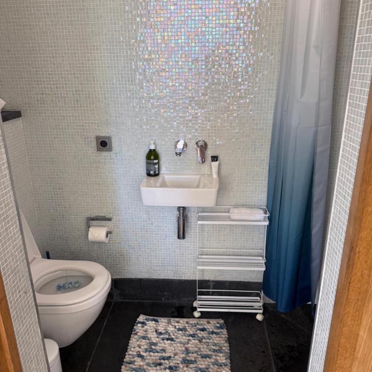 Magnifique studio bas de villa avec terasse et jardin Saint Jean Cap Ferrat - Apartamento de 1 dormitorio - 12