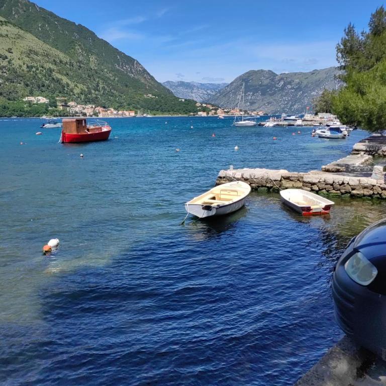 Apartment Noel Kotor Dobrota - Apartman sa 1 Spavaćom Sobom - 27