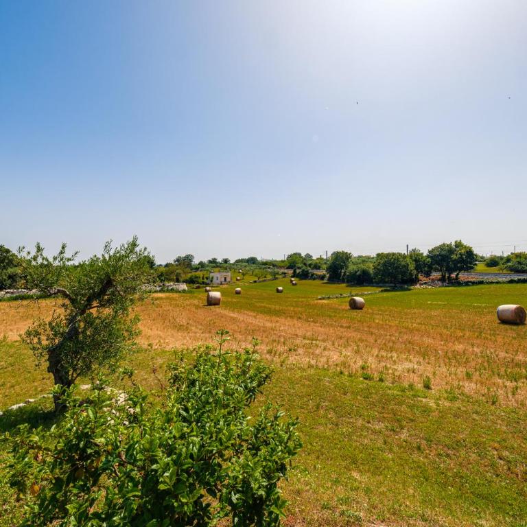 HelloAPULIA Alberobello - Masseria Don Sisto - Villa con Piscina Privata - 86