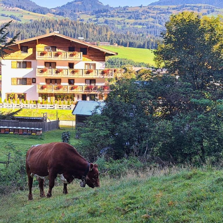 KITZALPEN Pension - Doppelzimmer mit Balkon - 16