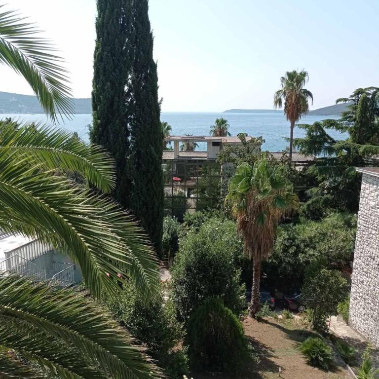 Apartmani i sobe Goca - One-Bedroom Apartment - 1