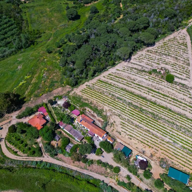 Podere Al Buraccio - Elba Affitti - Studio Apartment with Balcony - 5