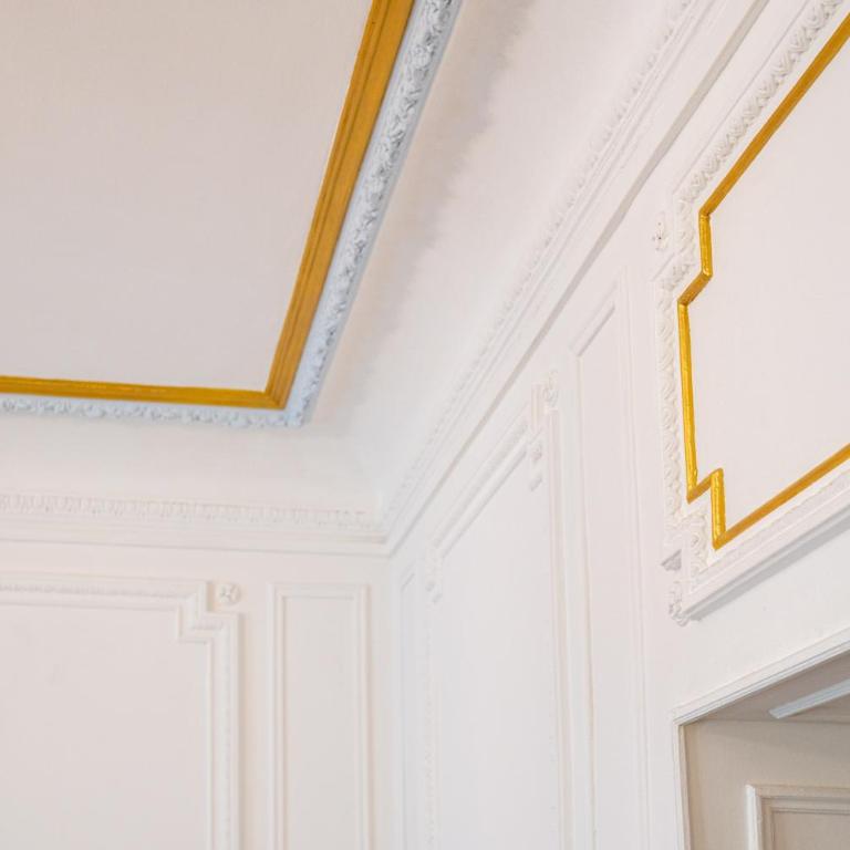 Appartement Belle Époque cœur de ville -AC- - Appartement 1 Chambre - 15