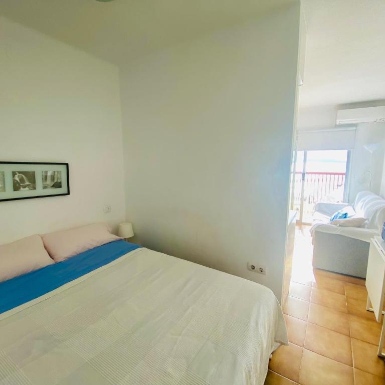 Appartement ALBATROS 12-C - Appartement 1 Chambre - 6