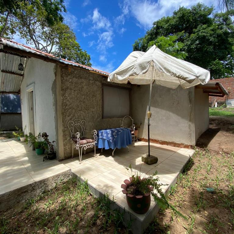 Magic tree - One-Bedroom Chalet - 1