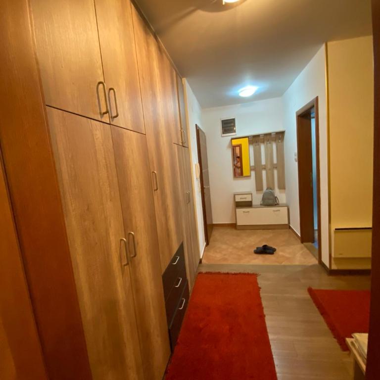 Apartman Katić - Apartman sa 1 Spavaćom Sobom - 5