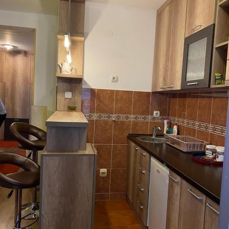 Apartman Katić - Apartman sa 1 Spavaćom Sobom - 16