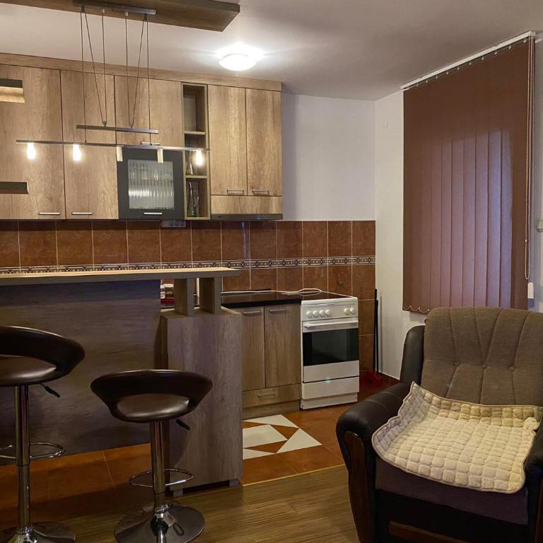 Apartman Katić - Apartman sa 1 Spavaćom Sobom - 22