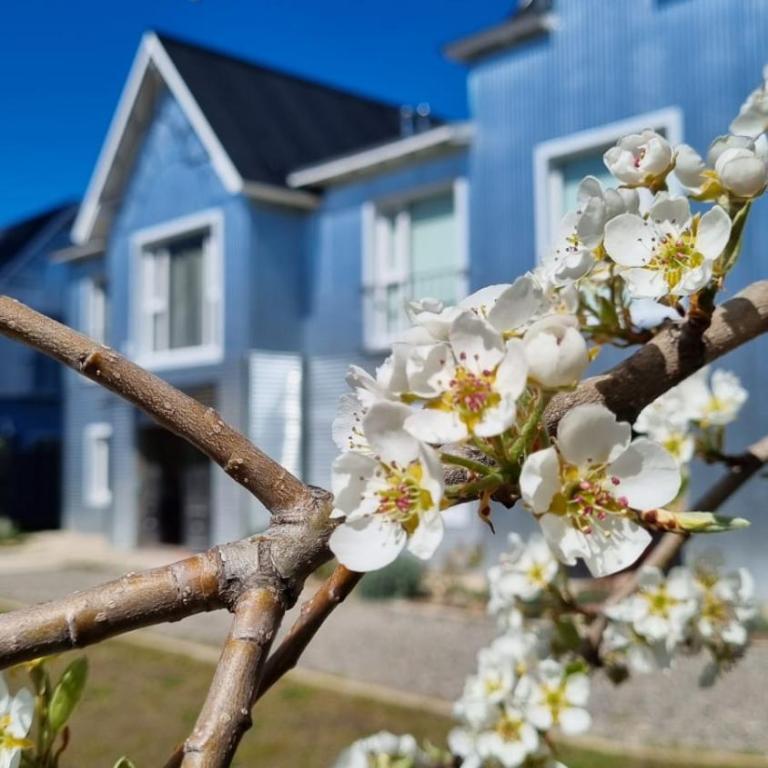 Hol Gok Patagonia - Apartamento de 1 dormitorio con vistas al parque - 22