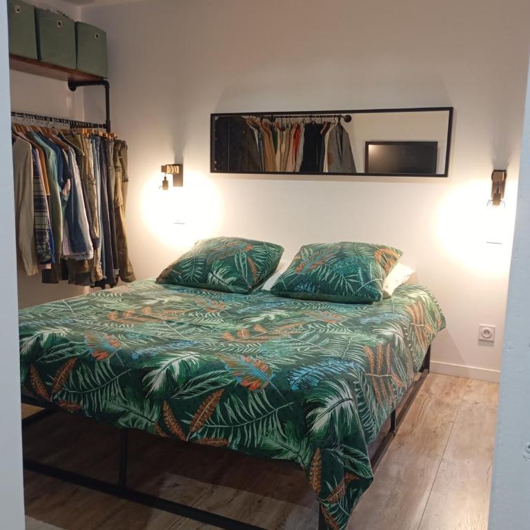 Entre Bassin et lacs - Maison 2 Chambres - 17