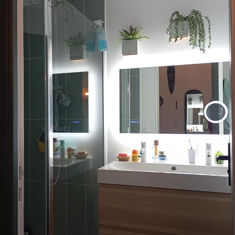 Entre Bassin et lacs - Maison 2 Chambres - 10