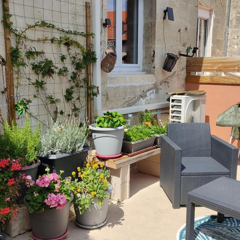 Les Bonbonieres d'Andrea Gavinies Pellegrin - Appartement 1 Chambre - 33