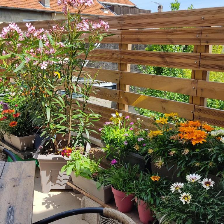 Les Bonbonieres d'Andrea Gavinies Pellegrin - Appartement 1 Chambre - 36