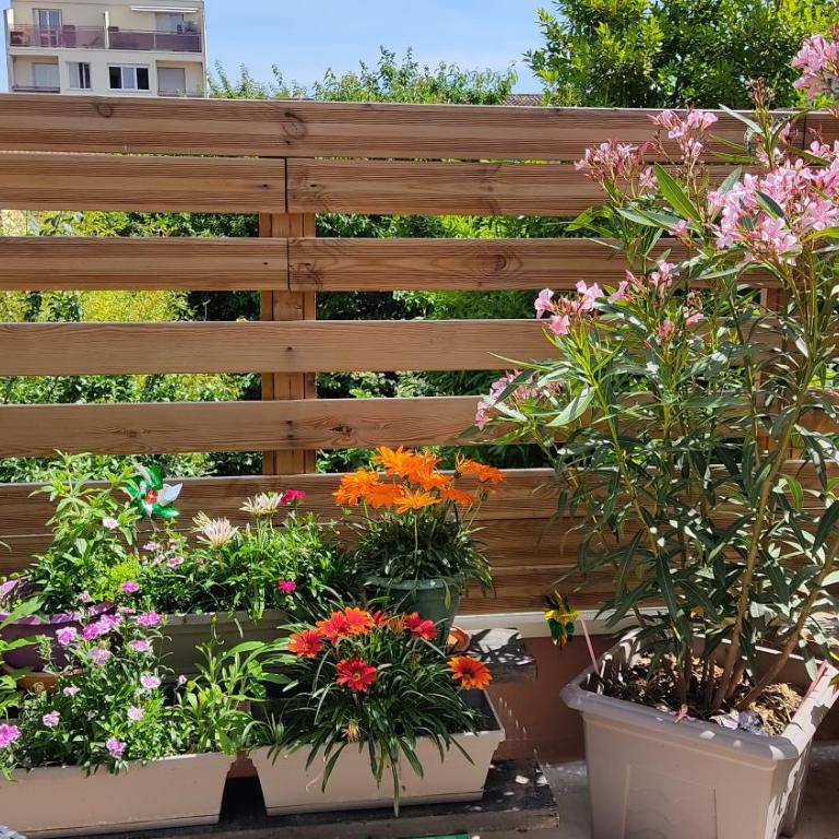 Les Bonbonieres d'Andrea Gavinies Pellegrin - Appartement 1 Chambre - 39