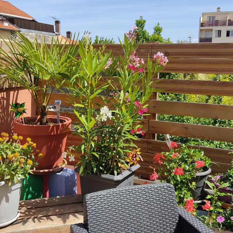 Les Bonbonieres d'Andrea Gavinies Pellegrin - Appartement 1 Chambre - 41