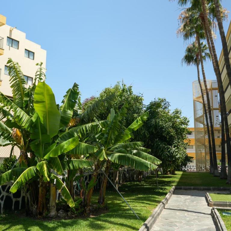Los Cactus Canary Home Rent - Apartamento de 2 dormitorios - 25