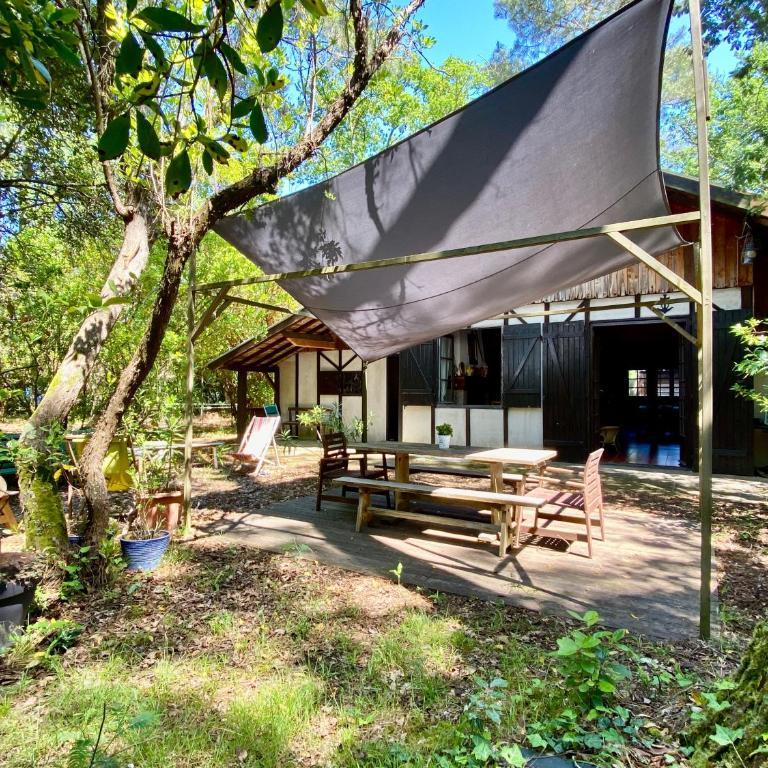 Maison de vacances de famille sous les pins - Maison 5 Chambres - 37