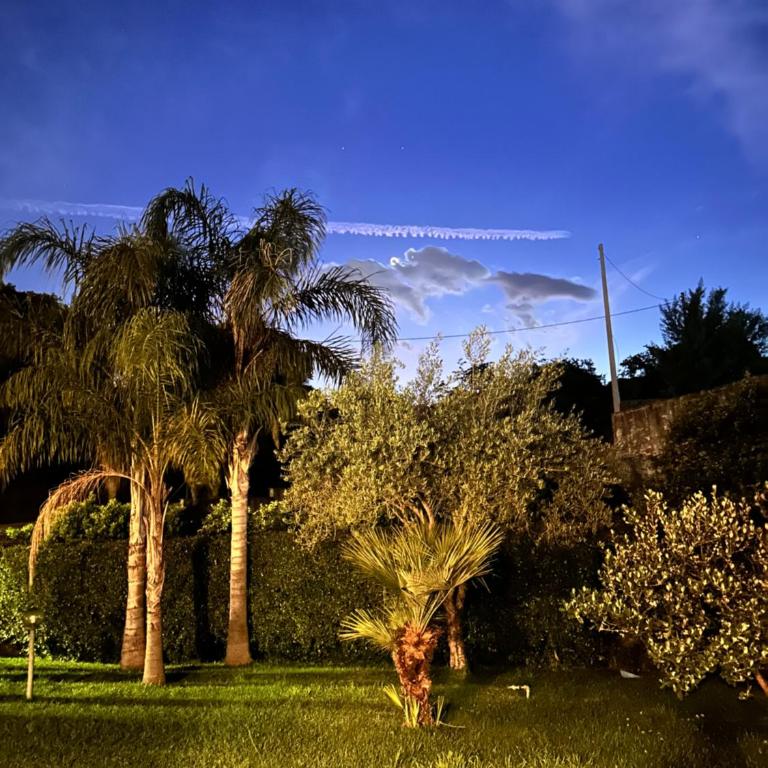 Villa Feluchia Tra Il Mare E Il Vulcano - Camera Matrimoniale/Doppia con Letti Singoli con Bagno - 14