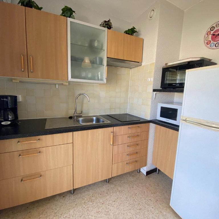 Appartement 2 étoiles proche Thermes avec animaux admis - FR-1-503-101 - Studio - 5
