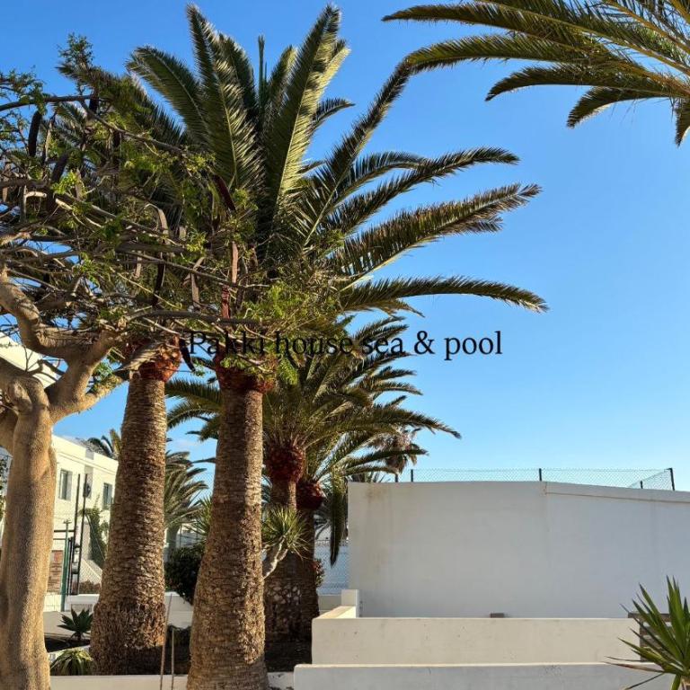 PAKKI house - Apartamento de 1 dormitorio - 20