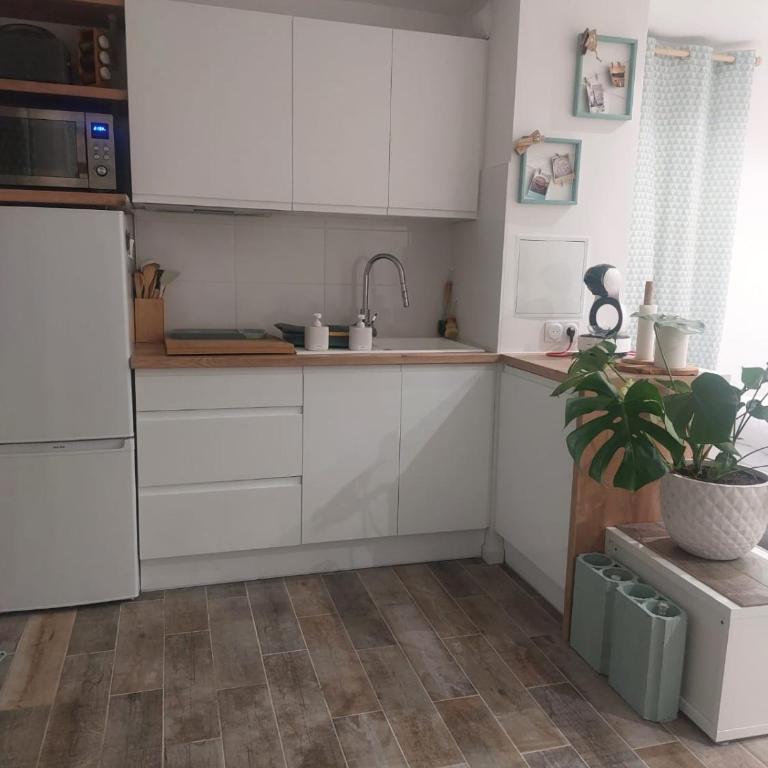 Nid douillet refait à neuf, proche de la mer - Appartement 1 Chambre - 10