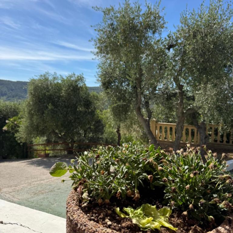 Valle dei Greci Rooms - Appartamento con 1 Camera da Letto - 3