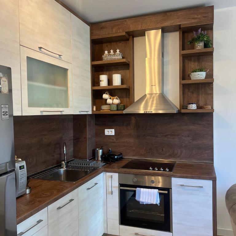 Apartmen Sofia - Apartman sa 1 Spavaćom Sobom - 4