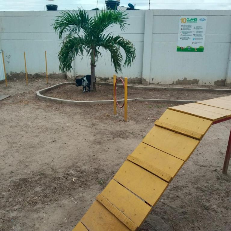 Apartamento Amoblado De Lujo En Cúcuta 2 - Apartamento de 3 dormitorios - 28