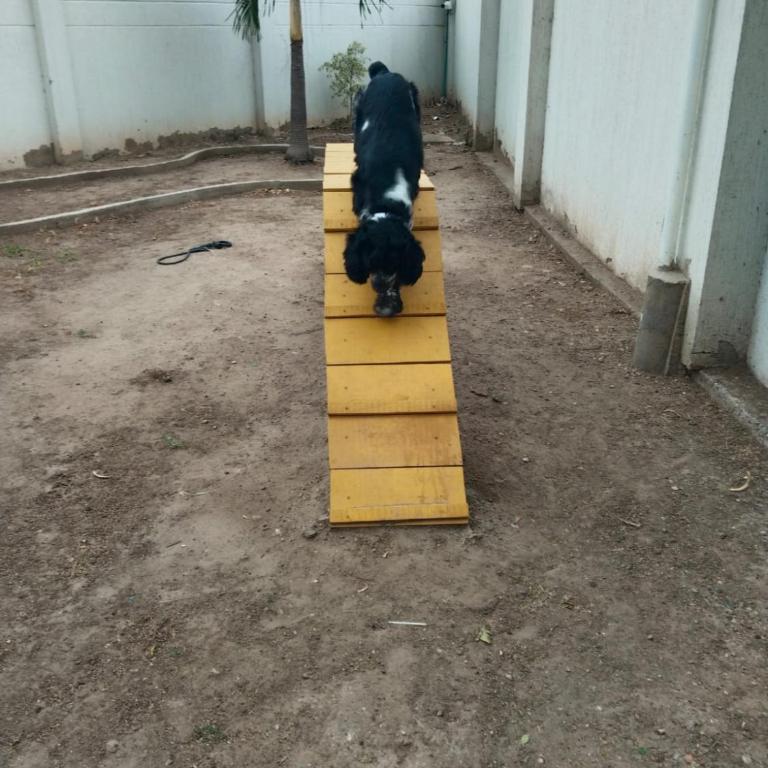 Apartamento Amoblado De Lujo En Cúcuta 2 - Apartamento de 3 dormitorios - 25