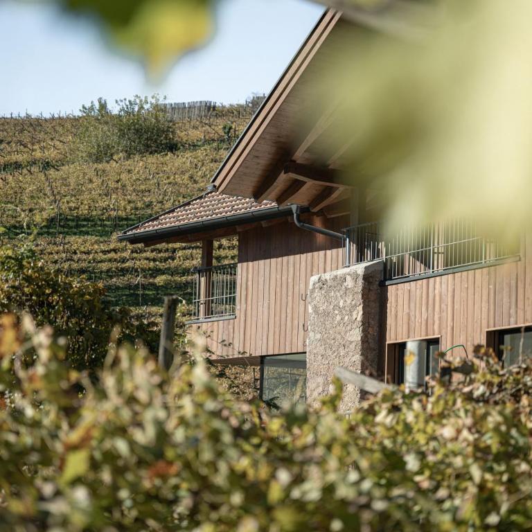 Untermoserhof - Apartamento de 1 dormitorio - 3