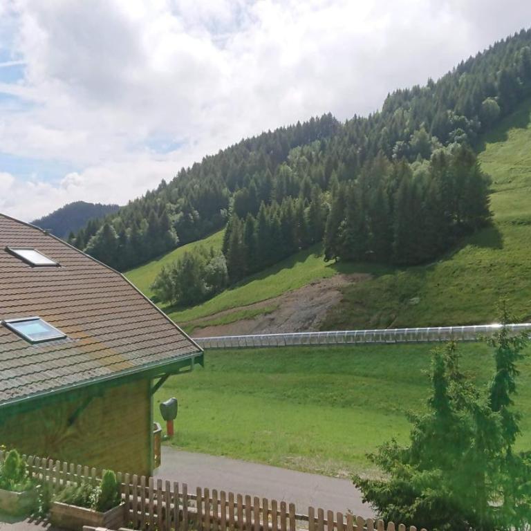 Edelweiss, Studio 5 pers, balcon sud est, vue sur les montagnes - Studio avec Balcon - 36