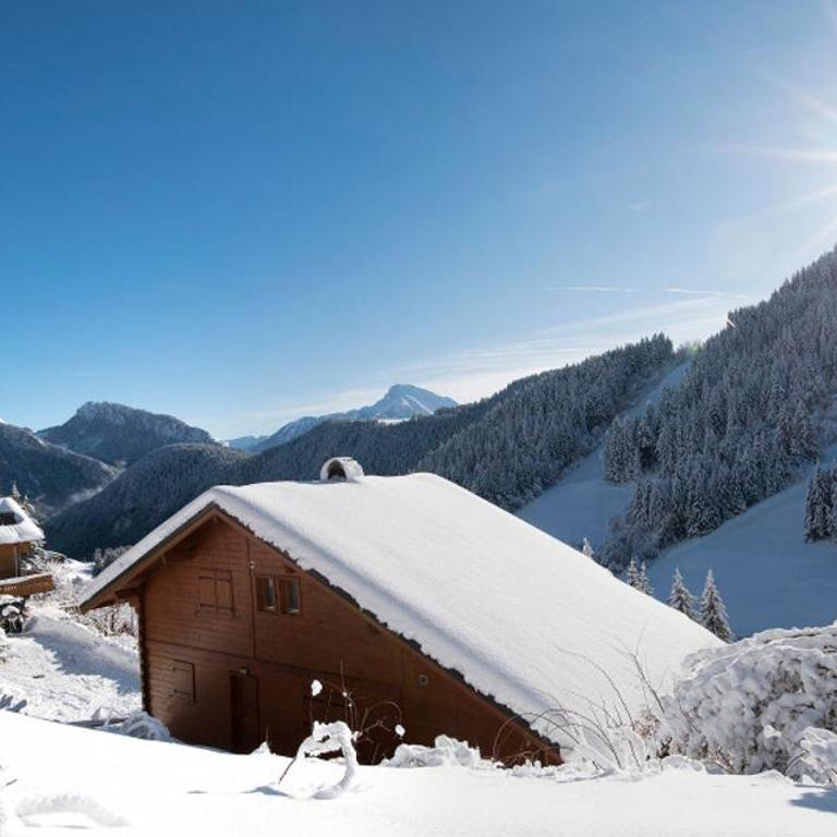 Edelweiss, Studio 5 pers, balcon sud est, vue sur les montagnes - Studio avec Balcon - 43
