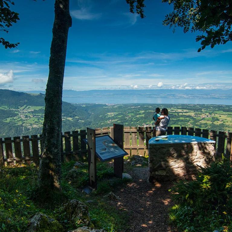 Edelweiss, Studio 5 pers, balcon sud est, vue sur les montagnes - Studio avec Balcon - 80