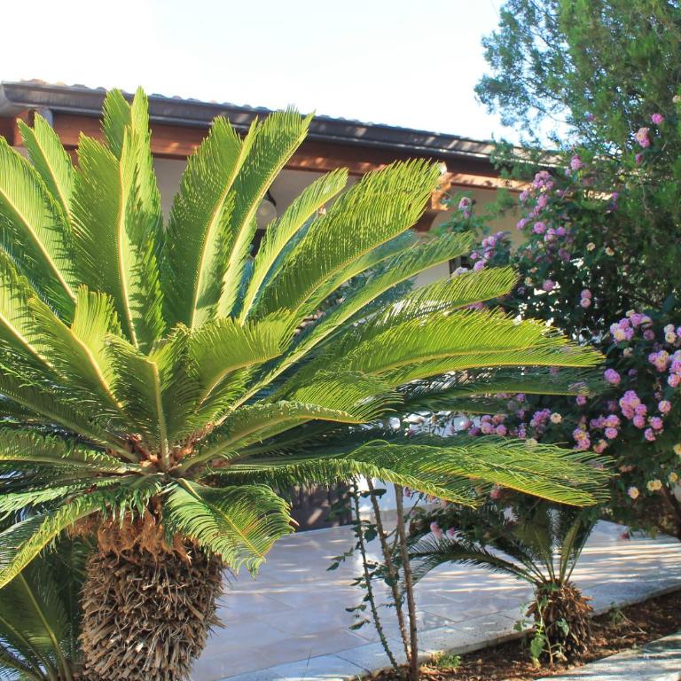 Levriero1 - Casa con 2 Camere da Letto - 73